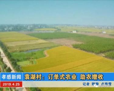 袁湖村：订单式农业 助农增收