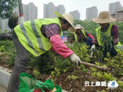 冲刺！孝感各地掀起“创卫”热潮！