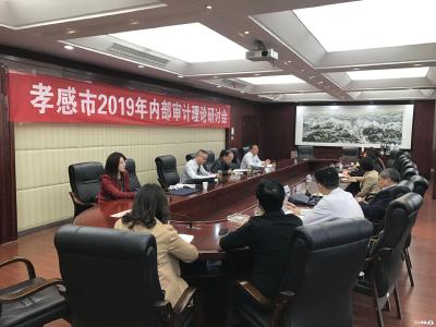 孝感市审计局内审协会召开2019年内部审计理论研讨会 