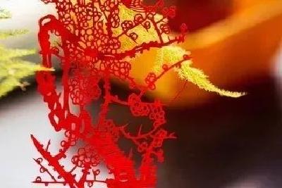 金刀银剪传技艺，非遗传承结硕果！剪纸传承人群研修班在孝感开班啦！