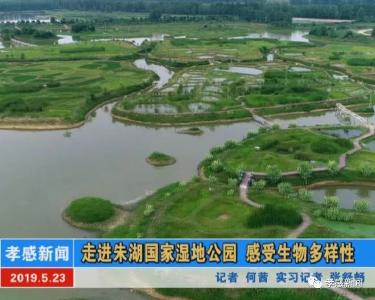 ◇亲近大自然◇走进朱湖国家湿地公园 感受生物多样性