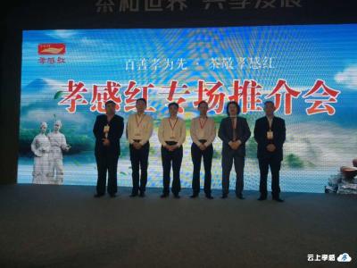 “孝感红”茶品牌专场推介会亮相第三届中国国际茶博会
