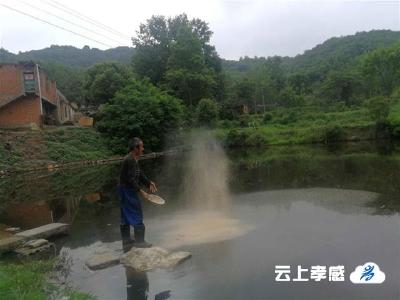 五点还没起床，可以喊我“懒汉”！——李大路奔富路
