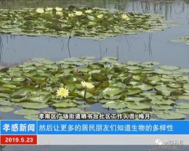 走进朱湖国家湿地公园~这美景我给满分