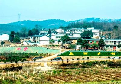 小悟乡田堂村：茶果基地做龙头，助力贫困户增收！