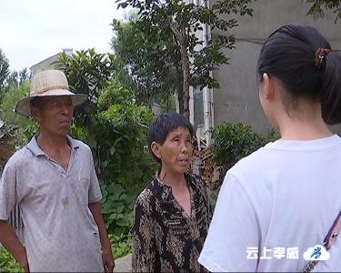 记者跑腿：我家的条件能否申办低保？