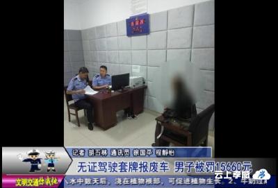 无证驾驶套牌报废车  男子被罚15660元