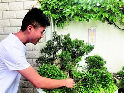 用新思维赋能传统产业 “苗二代”们的返乡新生活
