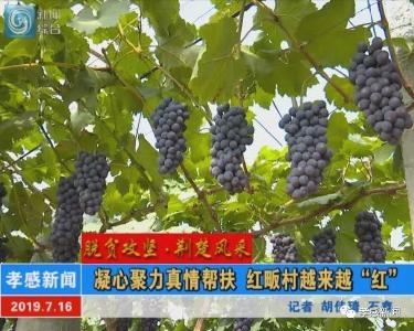 凝心聚力真情帮扶 红畈村越来越“红”
