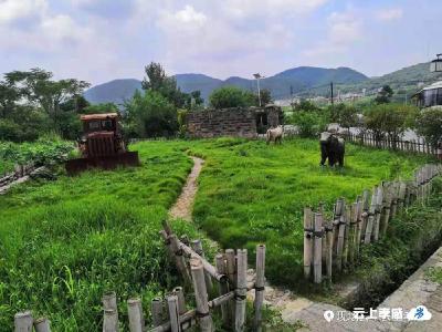新认识 新思路 建设美丽乡村