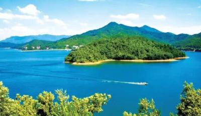 果树认养助推农旅融合