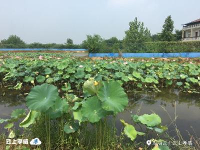 孝感楷模李森林：贫困户就是我的亲人