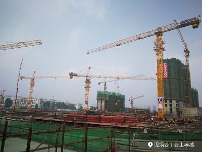 7月23日，孝感老澴河渡口安置区建设工地，塔吊林