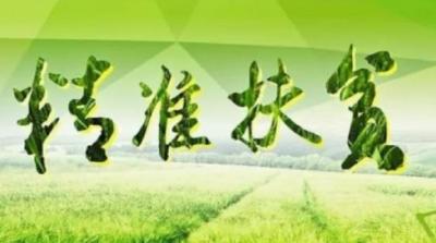 “龙头”带动 产业兴旺 安陆产业扶贫开好“火车头”