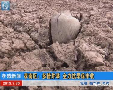 孝南区：多措并举 全力抗旱保丰收