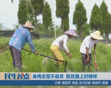 身残志坚不自弃 脱贫路上好榜样