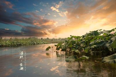 央视《夕阳红》栏目组走进朱湖采访百岁老人