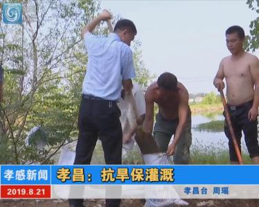 抗旱保丰收●全力保民生 