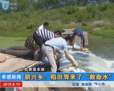 抗旱保丰收|朋兴乡：稻田等来了“救命水”