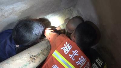 男童脚卡机械 消防救其脱险