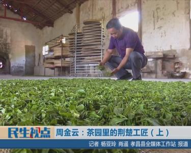 【图文+视频】周金云：茶园里的荆楚工匠（上）