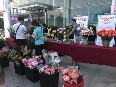 ​花鸟市场绿植展 喜庆祖国70华诞