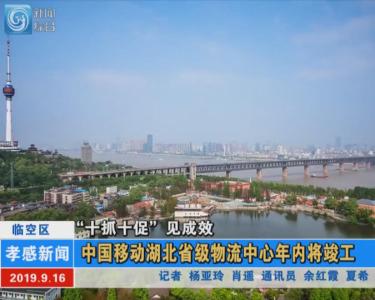 【图文+视频】“十抓十促”见成效|临空区：中国移动湖北省级物流中心年内将竣工