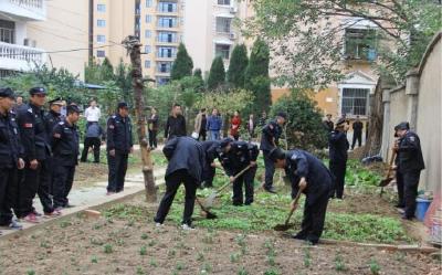 孝感市孝南区书院街道整治小区“私家菜园”