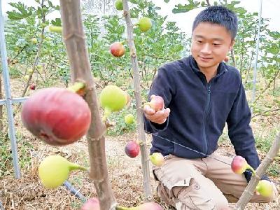 90后创业青年筑梦树上“糖包子”