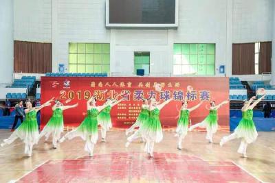 孝感市柔力球代表队荣获省柔力球锦标赛一等奖