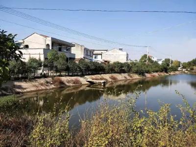 喜讯！孝感市这5个村落入选2019年度湖北省绿色乡村名单！