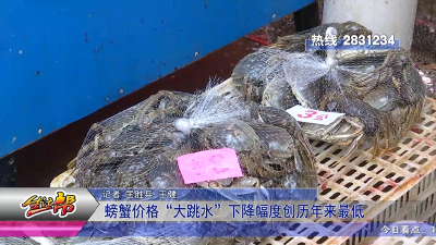 螃蟹价格大跳水 下降幅度创历年来最低