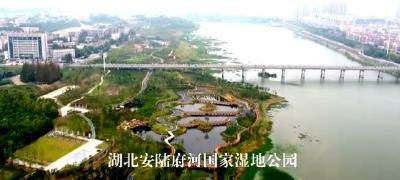 孝感又多了一个国家湿地公园！