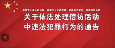 关于依法处理信访活动中违法犯罪行为的通告