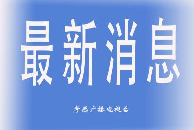2020年1月27日湖北省新型冠状病毒感染的肺炎疫情情况
