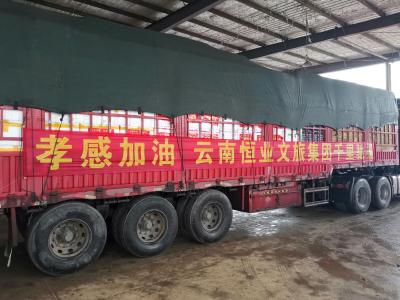 云南恒业文旅向湖北孝感捐赠60吨时鲜蔬菜  