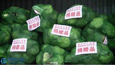 合川：10吨蔬菜对口援助湖北孝感