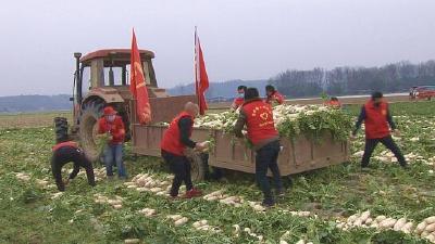 首批“潼南绿”驰援湖北孝感