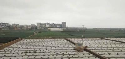 千里送蔬菜满载村民情