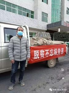 听说医院缺菜，朱湖农民冒寒下塘挖3000斤藕，送到抗疫前线