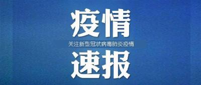 2月5日，湖北新增确诊2987例、死亡70例，累计确诊19665例