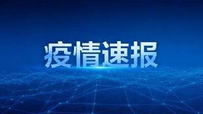 2020年3月24日湖北省新冠肺炎疫情情况