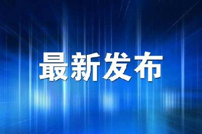 孝感市委通报表扬一批重庆市、黑龙江省援孝医疗支援队基层党组织和党员