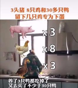 一家9口探亲滞留湖北40天！吃掉亲家3头猪、30多只鸭、几百斤米……就剩下蛋母鸡