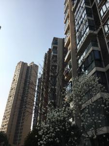 晒书台社区成立临时党支部 为居民筑牢疫情防控隔离墙