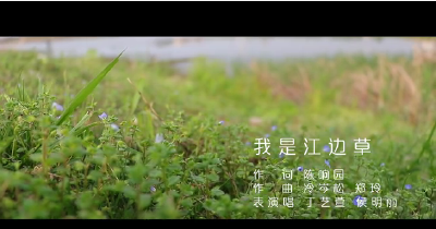 创作故事 |抗疫公益歌曲《我是江边草》——写在武汉解封时