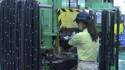 湖北西川：以质取胜寻生机