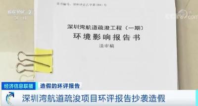 启动问责和调查！“深圳湾”环评造假案有了新进展