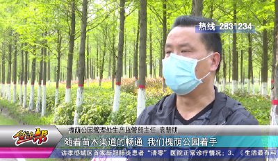 不负春季好韶光 绿化复工正当时