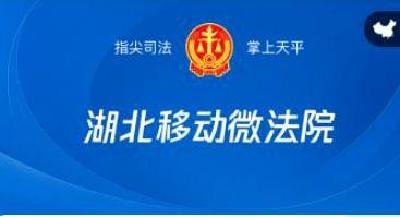 孝昌丨移动微法院，指尖诉讼不是梦，孝昌人你会用吗？